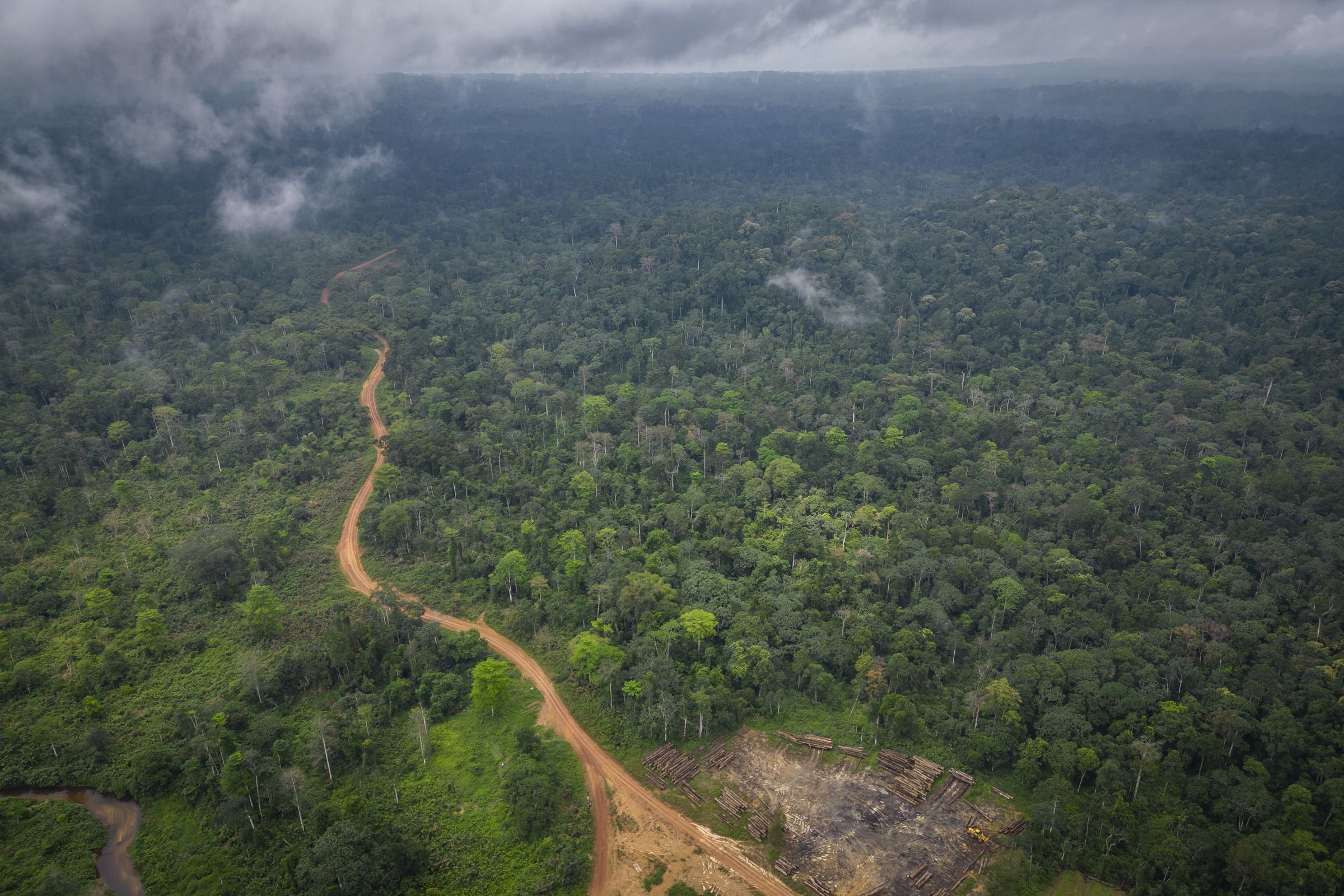 An aerial view of a dirt road that leads to an area where trees have been cut down in a forest.