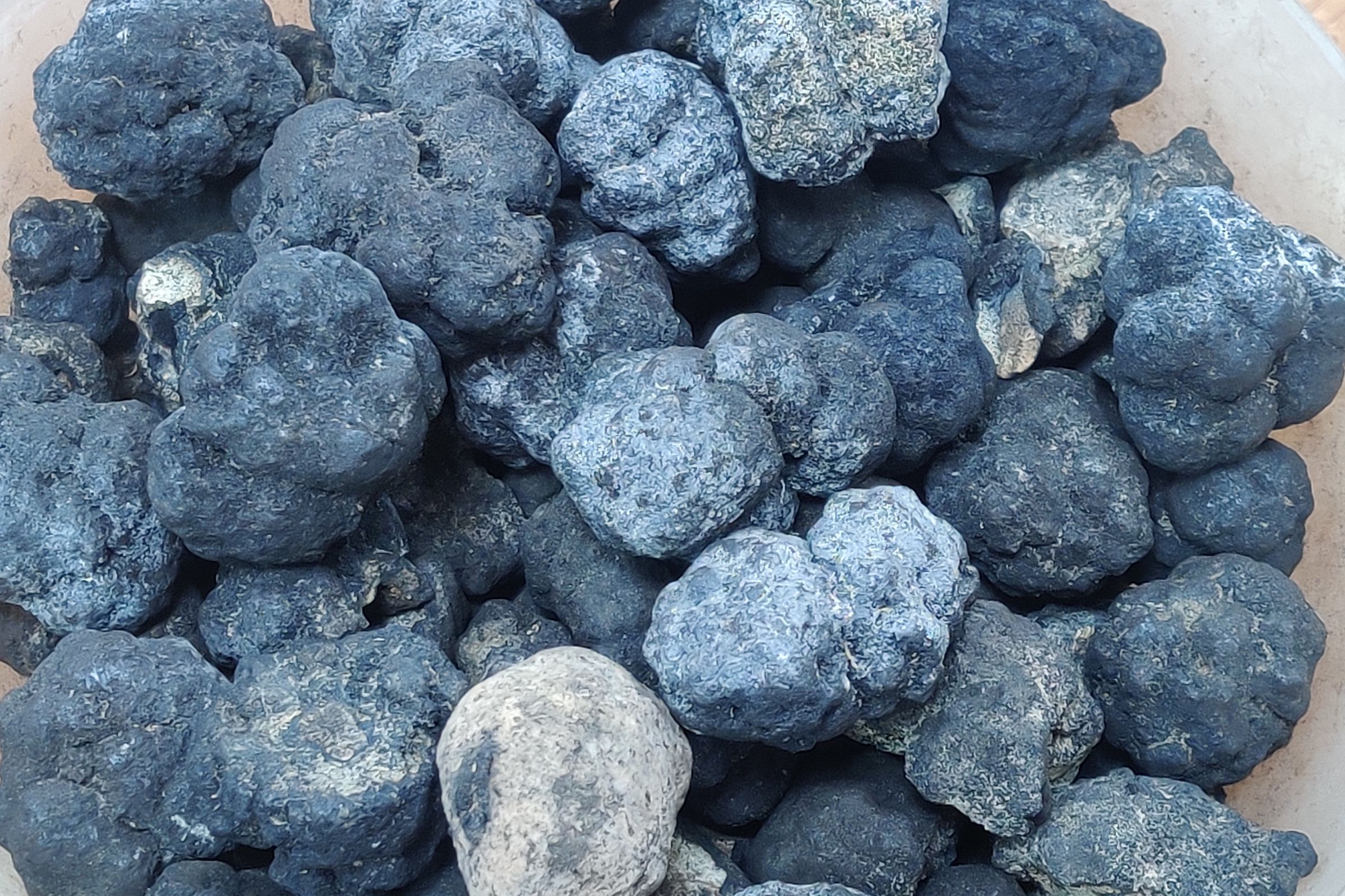 A close-up view of a what look like small rocks piled atop a transparent dish or container.