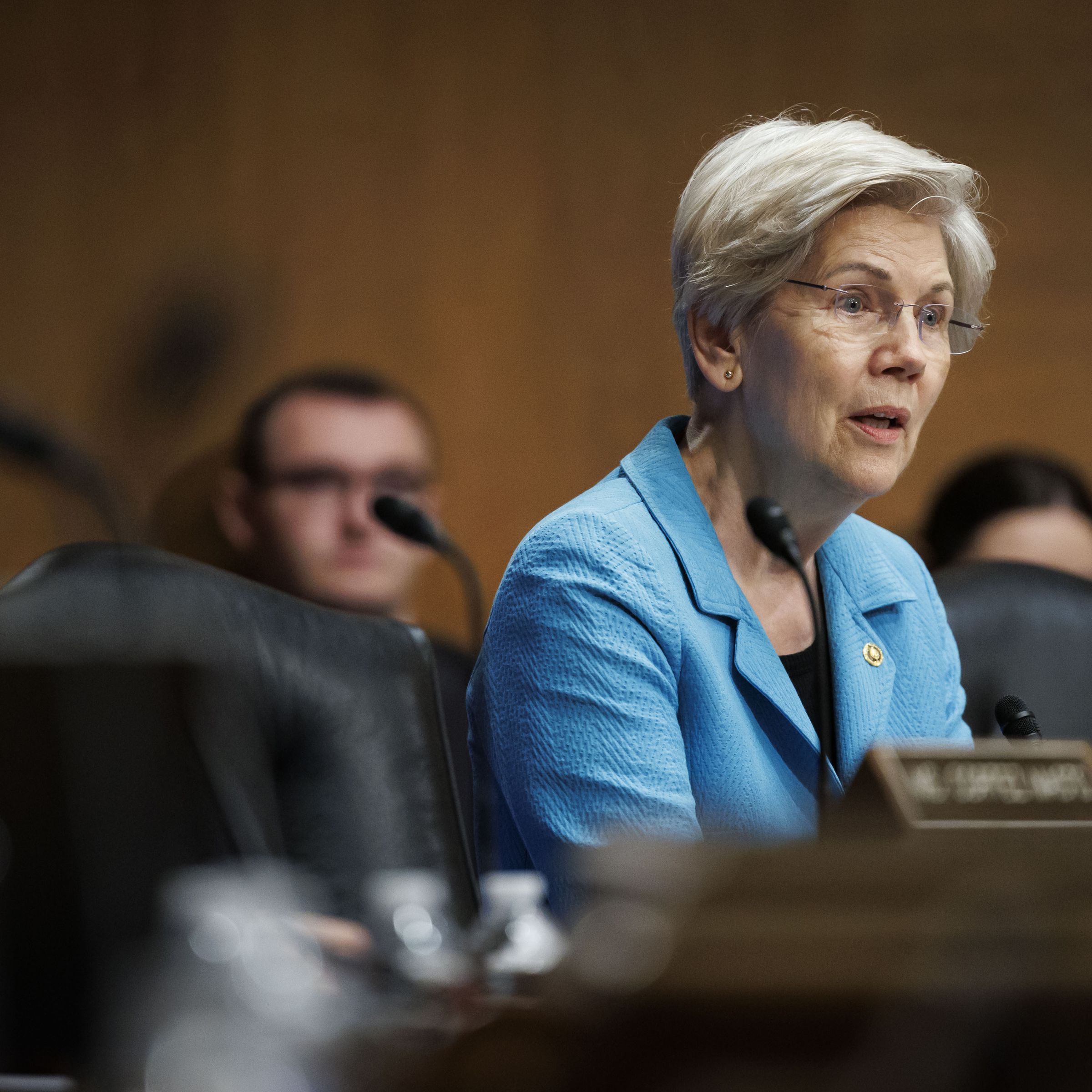 Sen. Elizabeth Warren (D-MA)