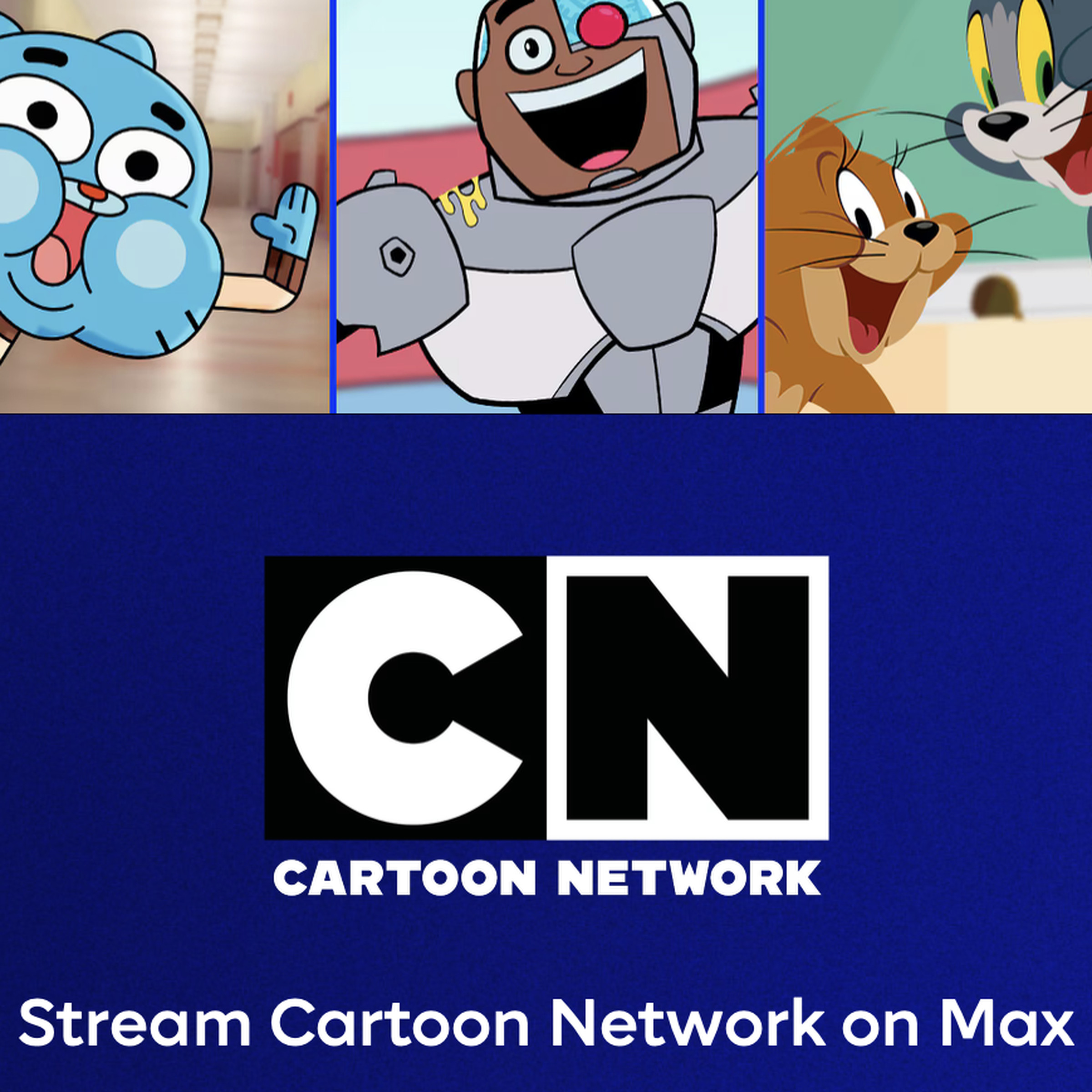 A screenshot from the Cartoon Network website showing part of the message that points to Max.