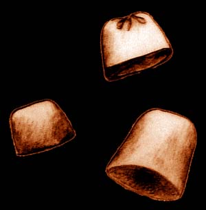 sketch_acornhat_1428