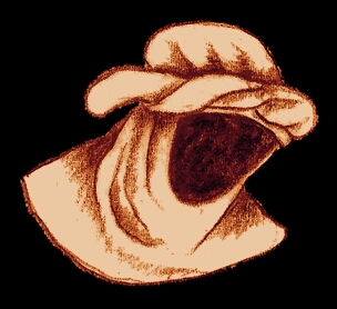 sketch_HoodLiripipe_14thc_2