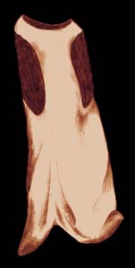 sketch_Surcoat_c1340_new