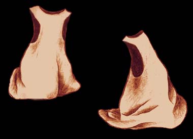 sketch_Surcoat_c1440_new