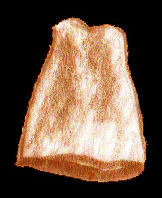 sketch_TallAcornHat_1476