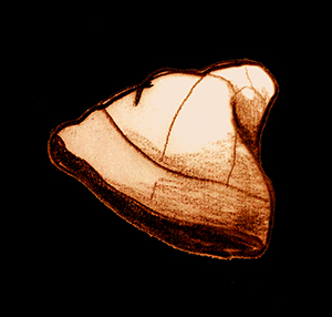 sketch_VikingMensHat_3-4thc